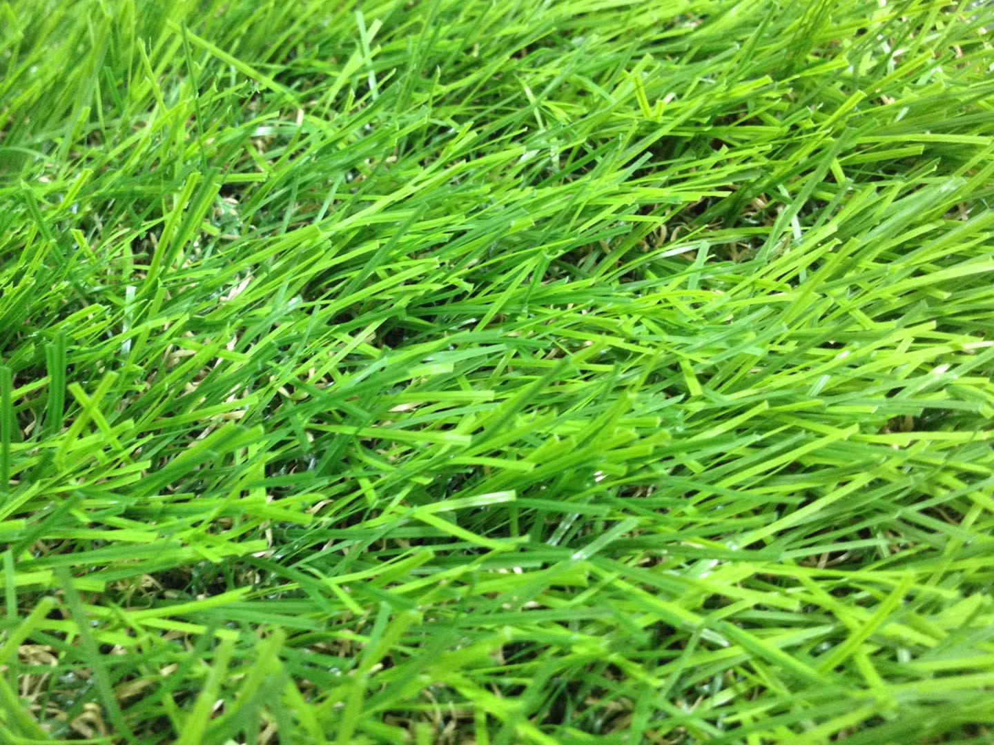 หญ้าเทียม อีซี่กราส เอสซีจี เซฟวิ่งกราส รุ่นสั่งตัด ความยาวเส้นหญ้า 4 ซม. สี ไบรท์กรีน